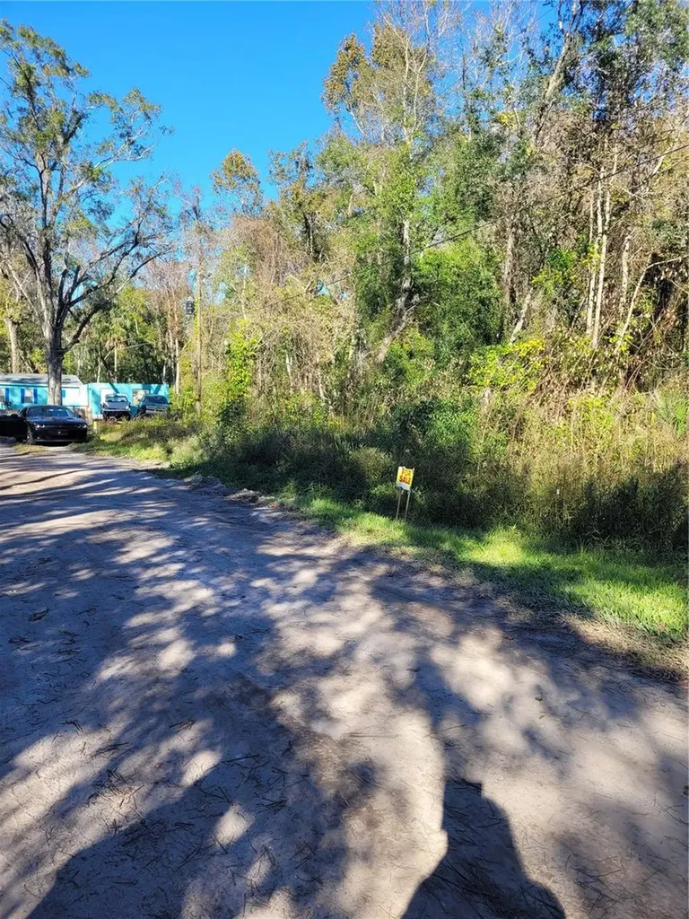 Morena Street New Port Richey FL 34654
