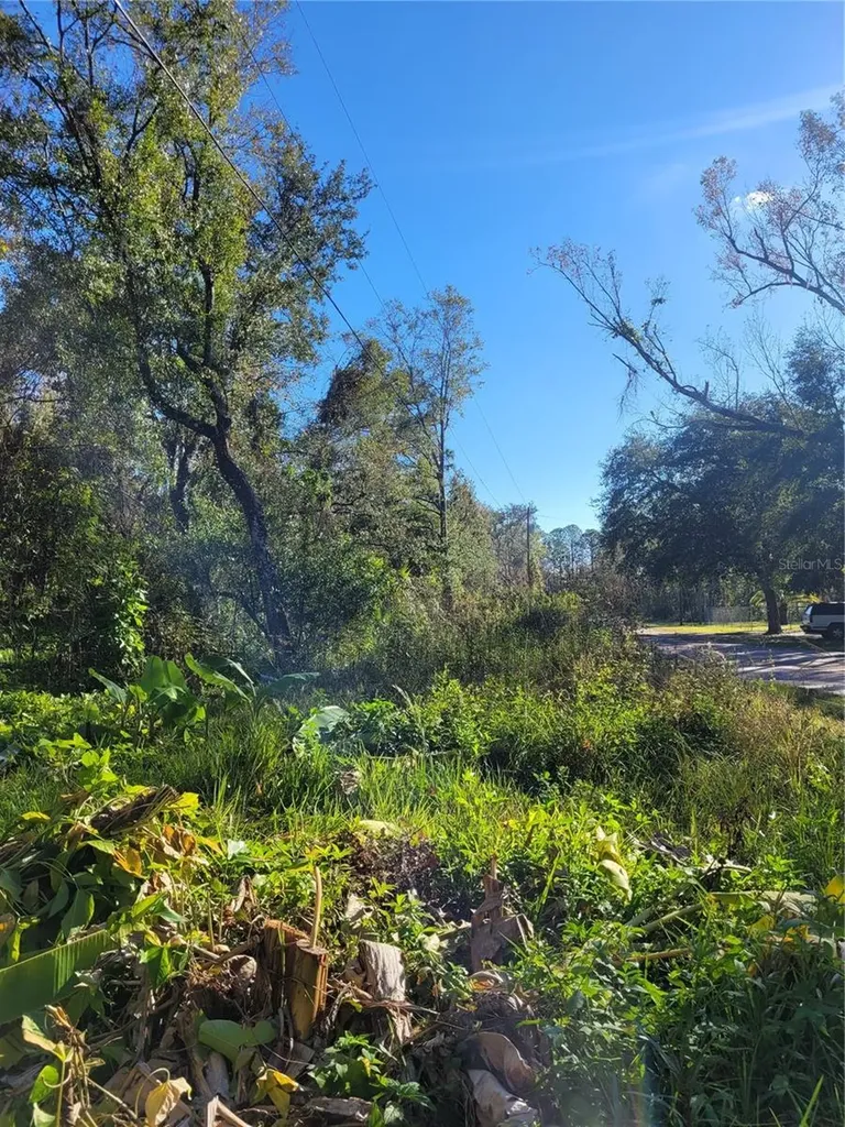 Morena Street New Port Richey FL 34654