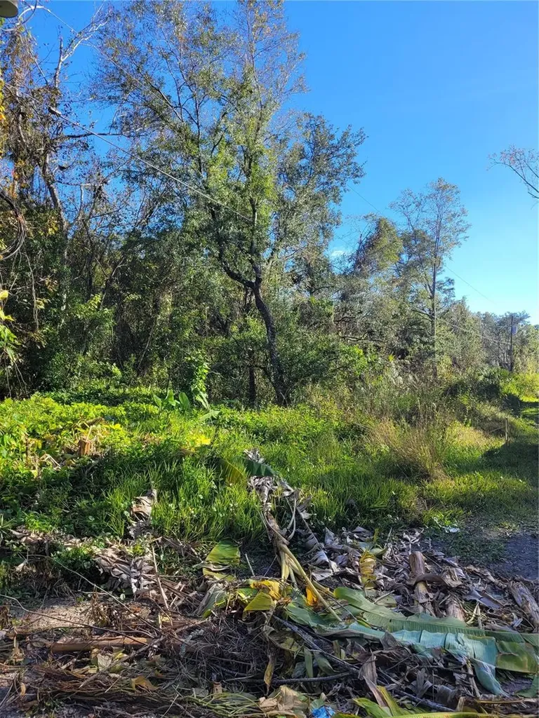 Morena Street New Port Richey FL 34654