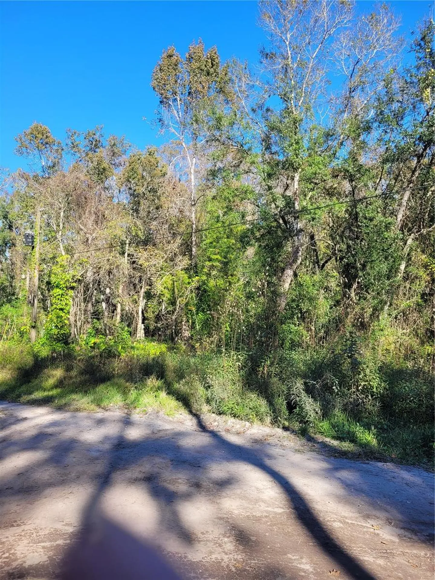 Morena Street New Port Richey FL 34654