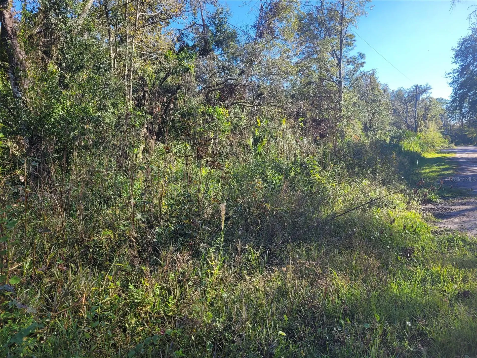 Morena Street New Port Richey FL 34654