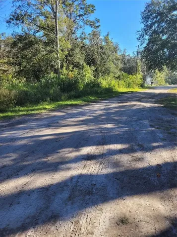 Morena Street New Port Richey FL 34654