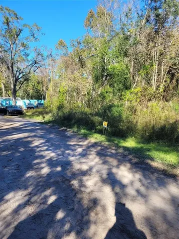 Morena Street New Port Richey FL 34654