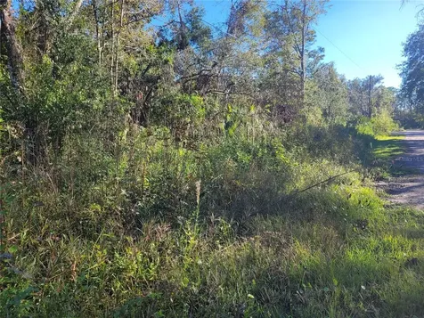 Morena Street New Port Richey FL 34654
