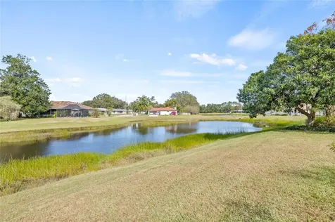 28509 Twinbrook Lane Wesley Chapel FL 33543