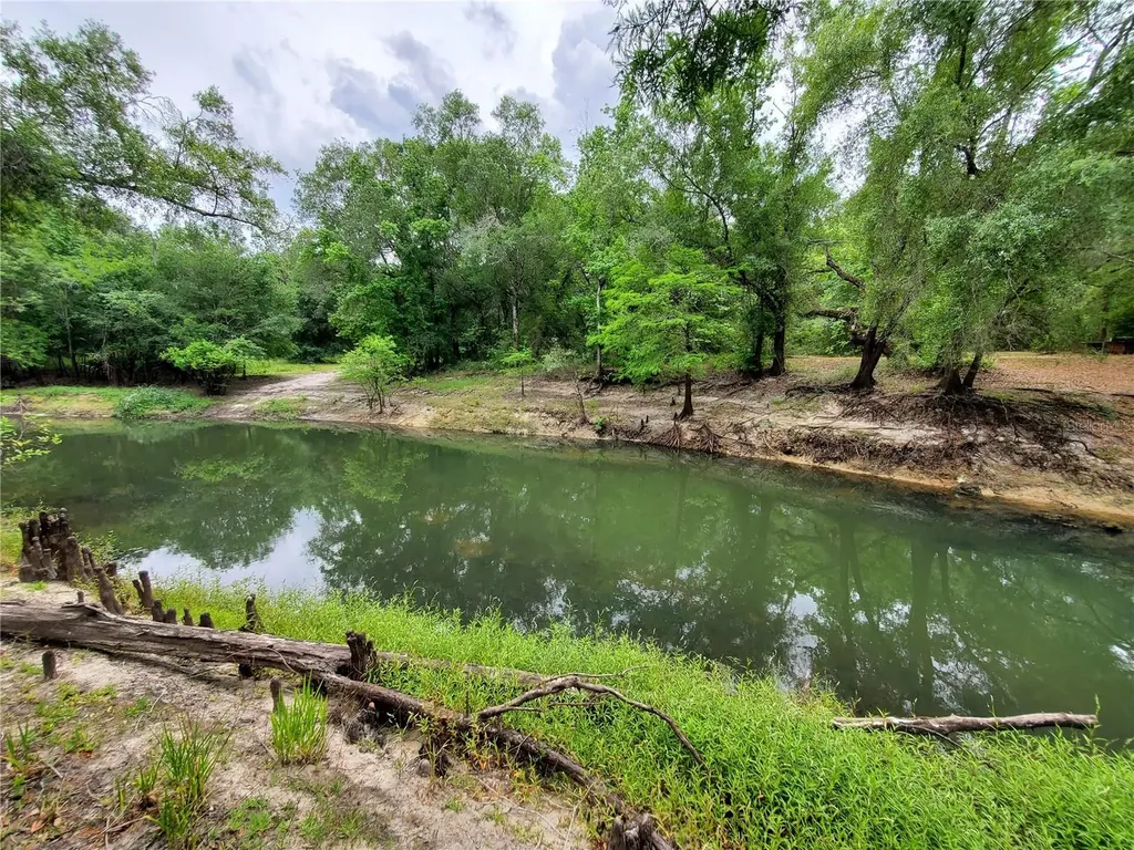 Ringwalt Drive Dade City FL 33523