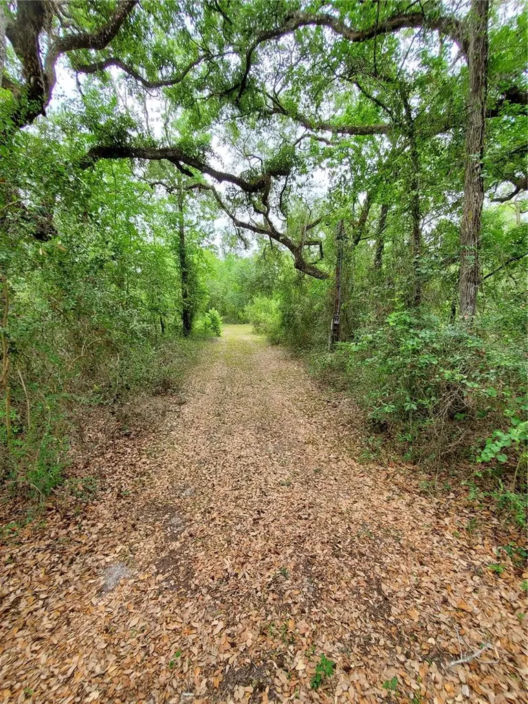 Ringwalt Drive Dade City FL 33523