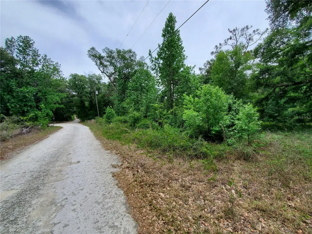 Ringwalt Drive Dade City FL 33523