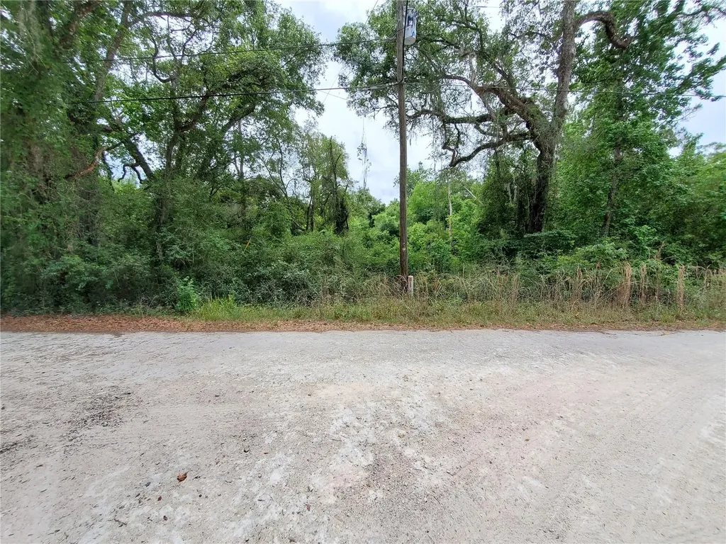 Ringwalt Drive Dade City FL 33523