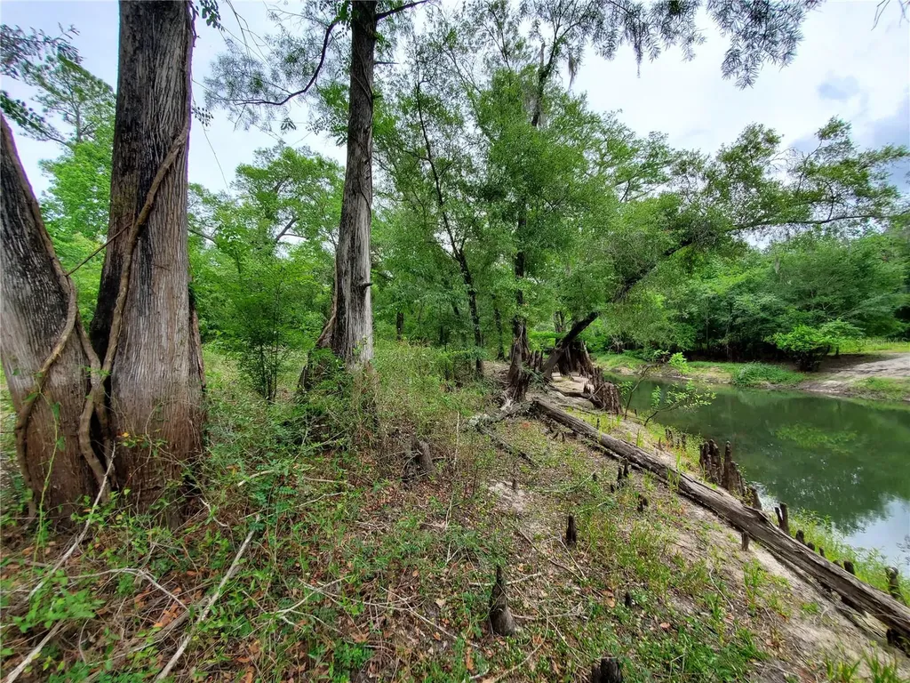 Ringwalt Drive Dade City FL 33523