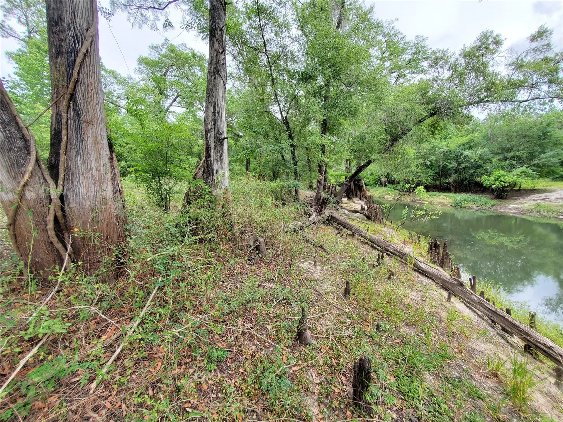 Ringwalt Drive Dade City FL 33523