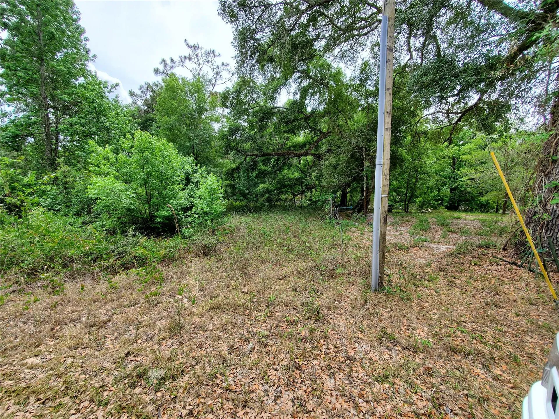 Ringwalt Drive Dade City FL 33523