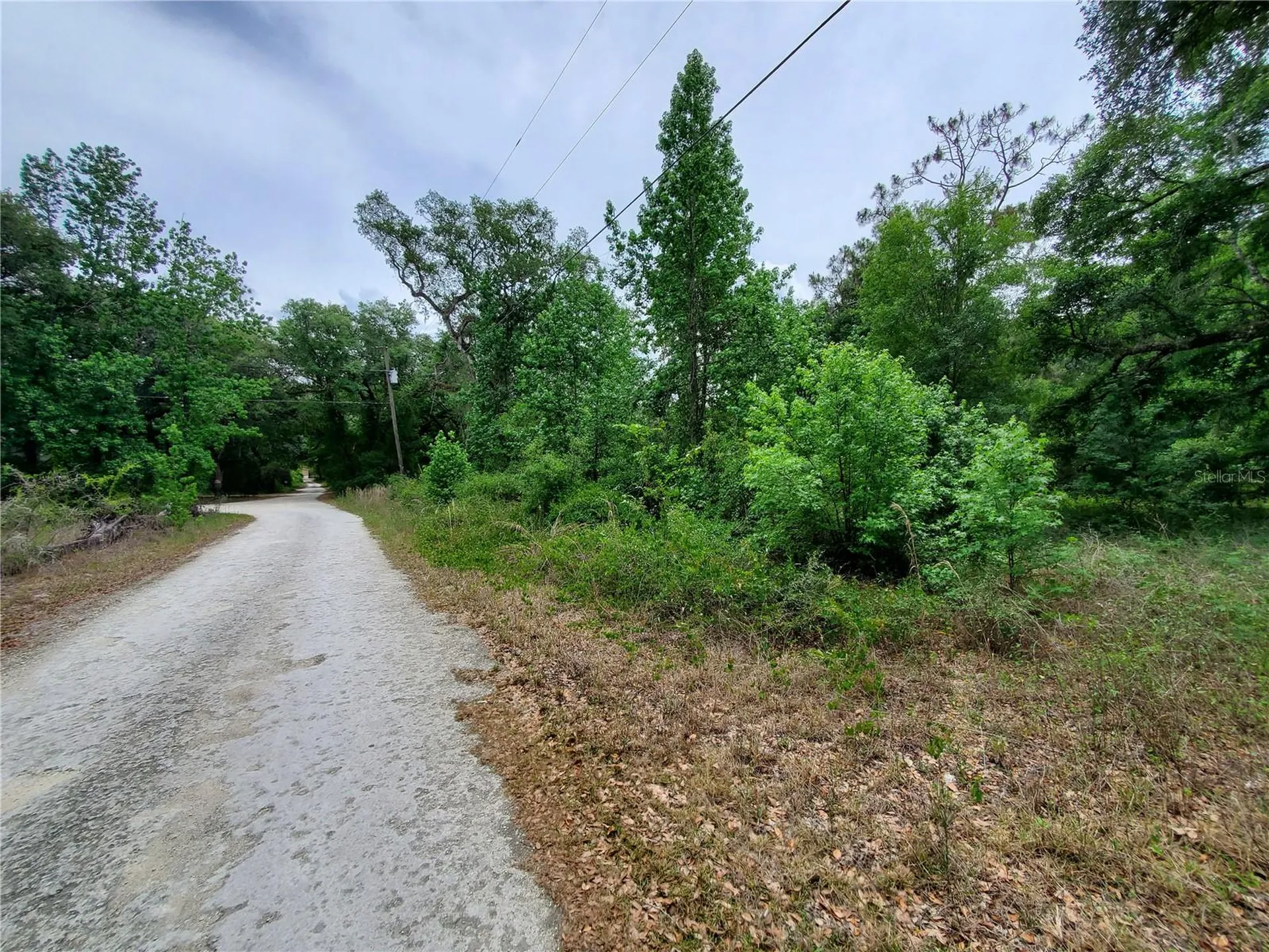 Ringwalt Drive Dade City FL 33523