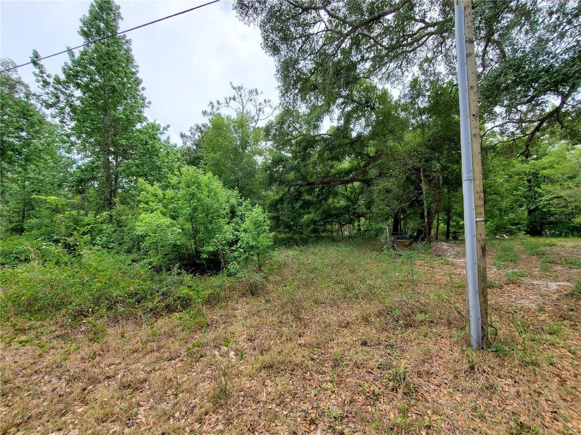 Ringwalt Drive Dade City FL 33523