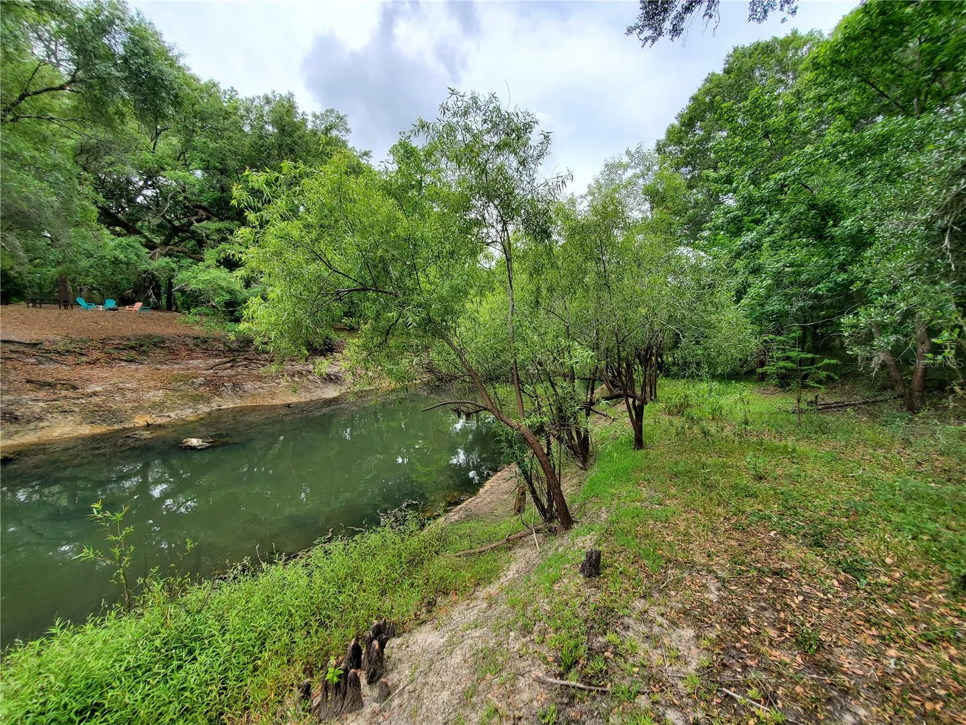 Ringwalt Drive Dade City FL 33523