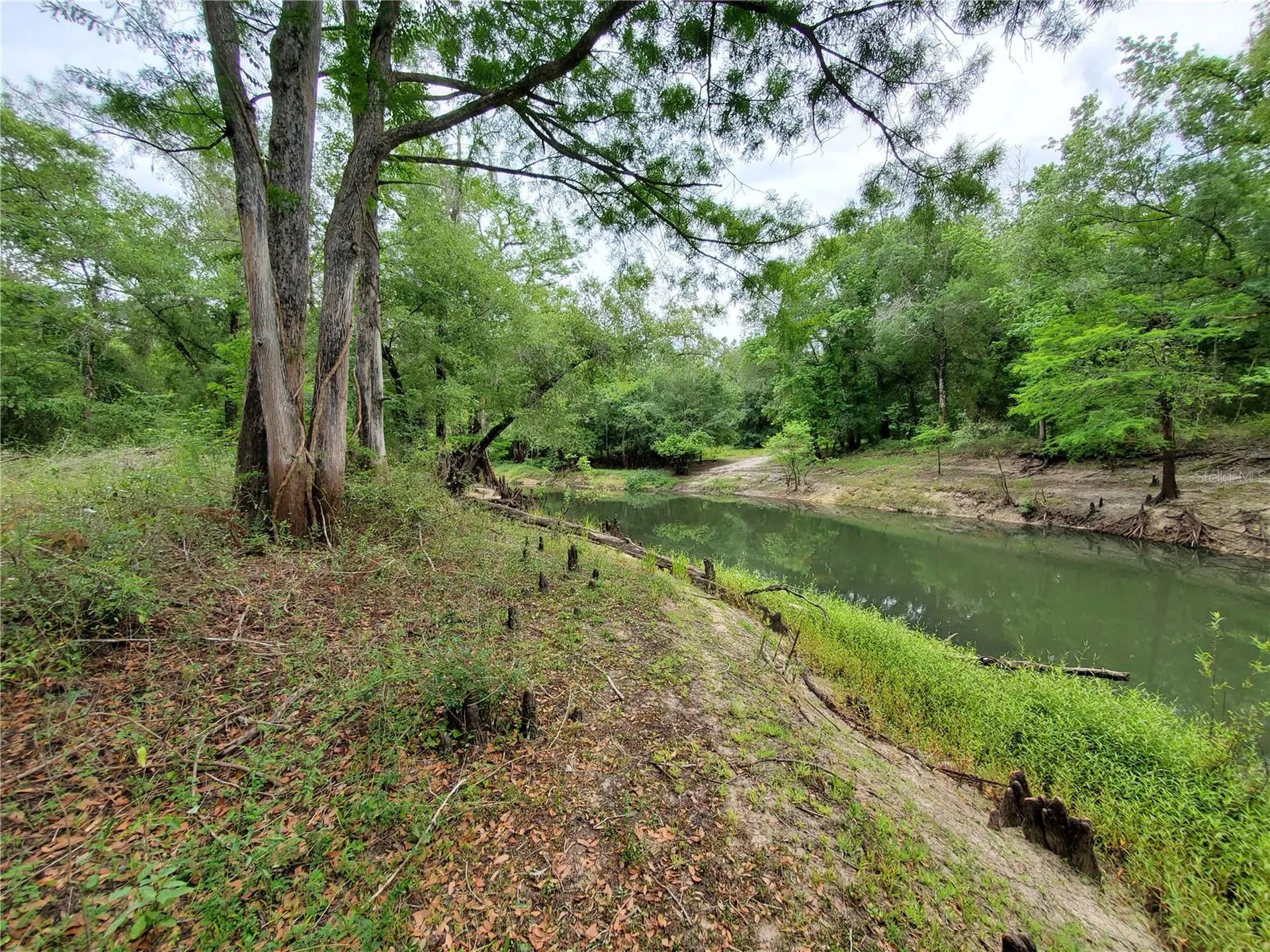 Ringwalt Drive Dade City FL 33523