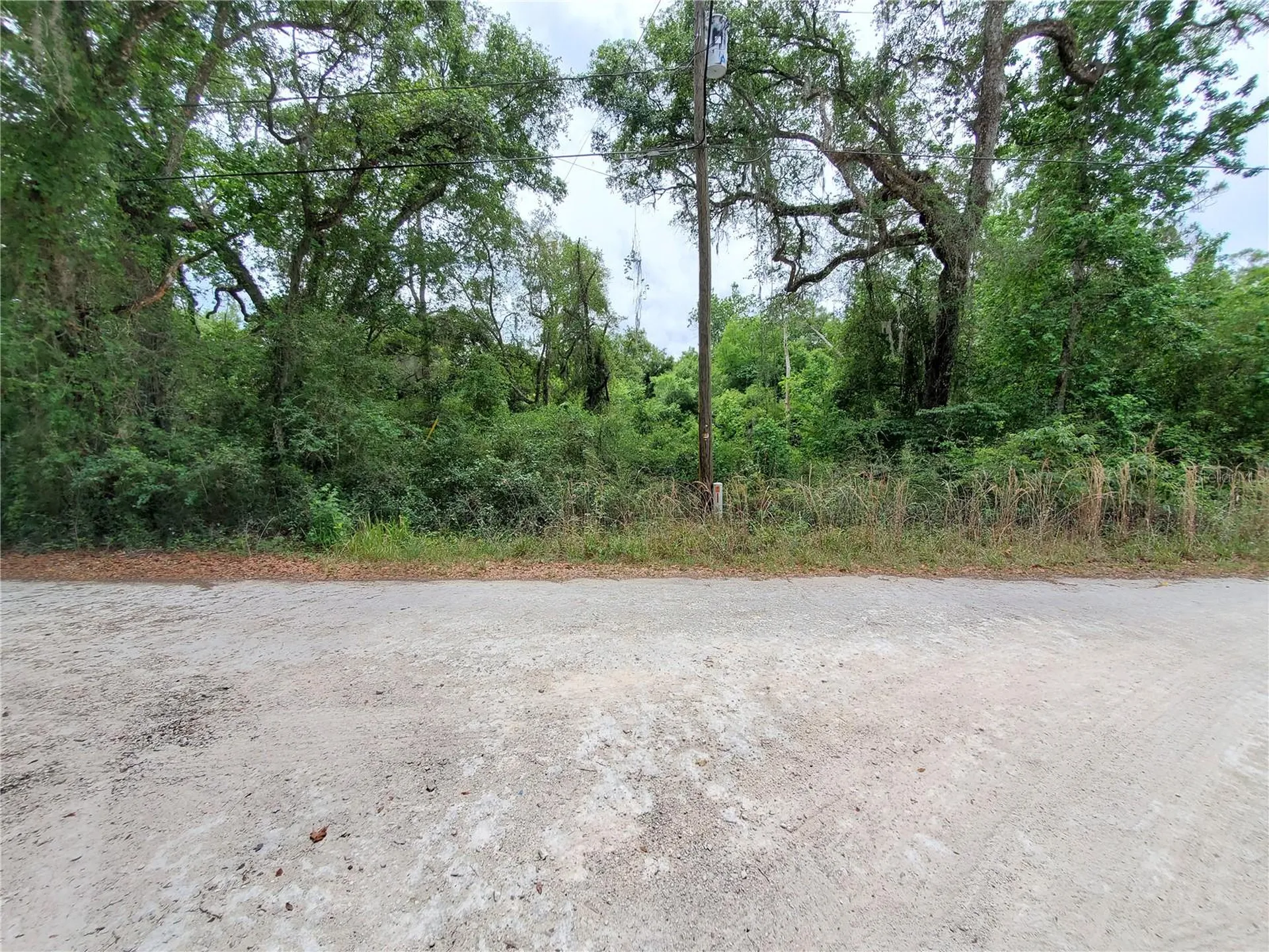 Ringwalt Drive Dade City FL 33523