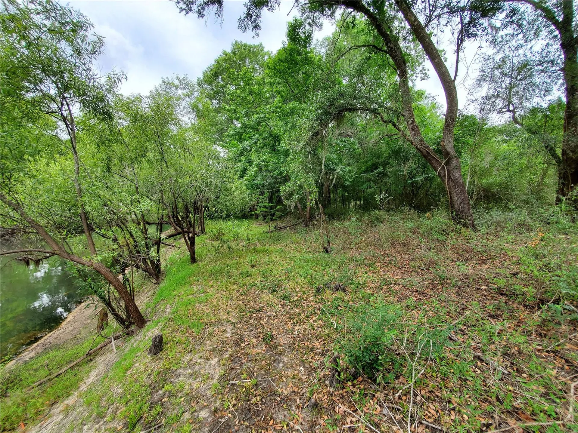 Ringwalt Drive Dade City FL 33523