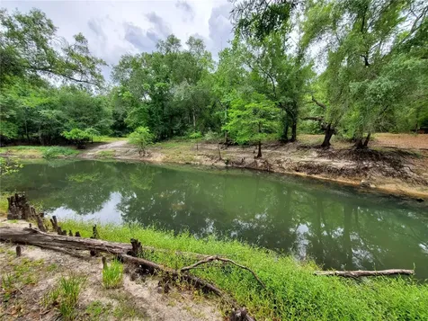 Ringwalt Drive Dade City FL 33523