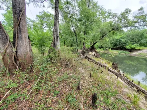 Ringwalt Drive Dade City FL 33523