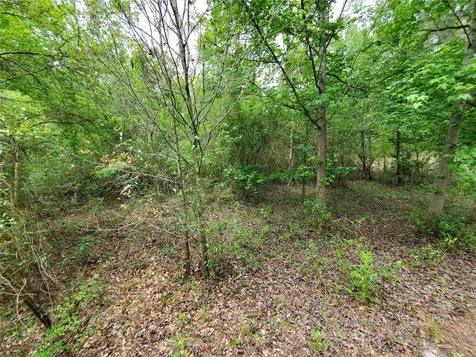 Ringwalt Drive Dade City FL 33523