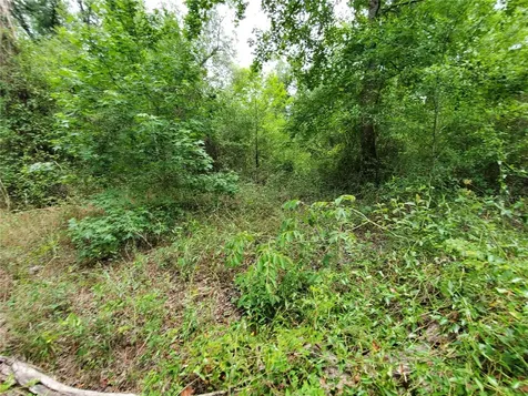 Ringwalt Drive Dade City FL 33523