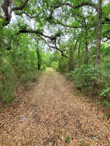 Ringwalt Drive Dade City FL 33523