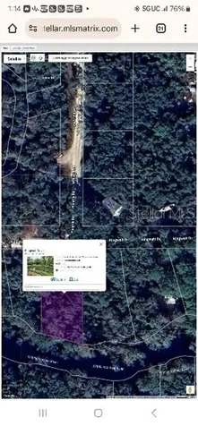 Ringwalt Drive Dade City FL 33523
