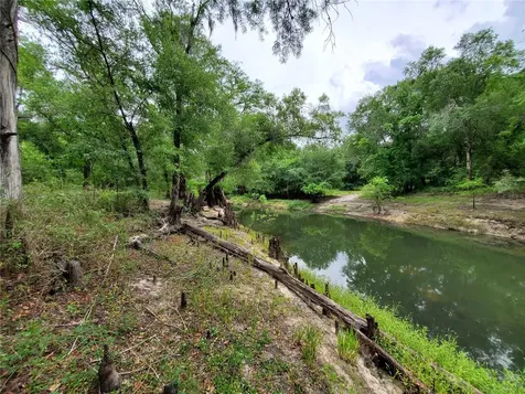 Ringwalt Drive Dade City FL 33523