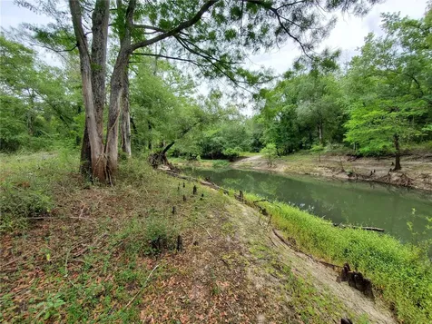 Ringwalt Drive Dade City FL 33523