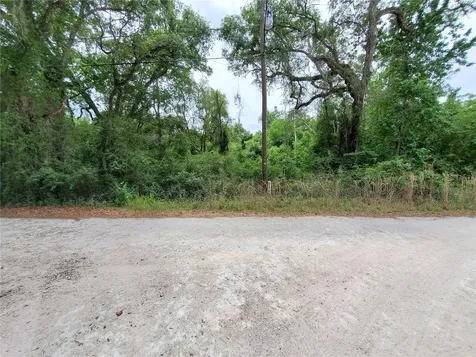 Ringwalt Drive Dade City FL 33523