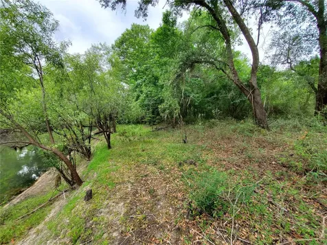 Ringwalt Drive Dade City FL 33523