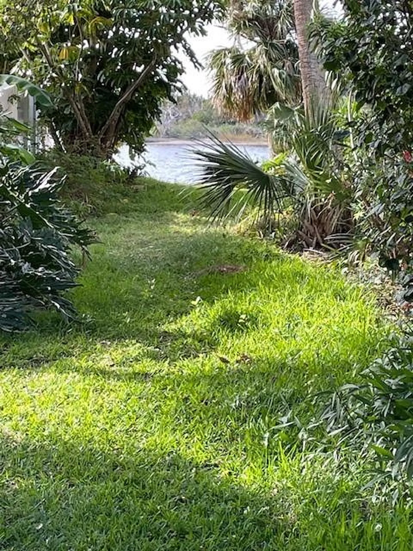 151 Avalon Drive Ormond Beach FL 32176