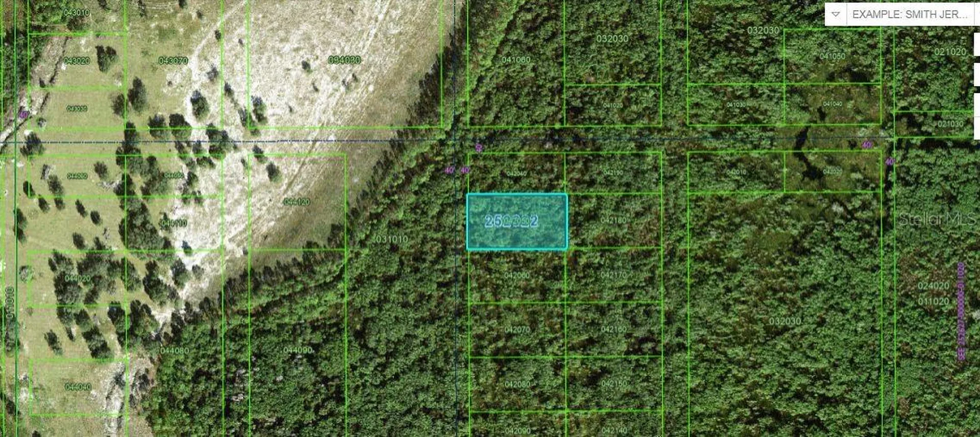 Commonwealth Avenue N Polk City FL 33868