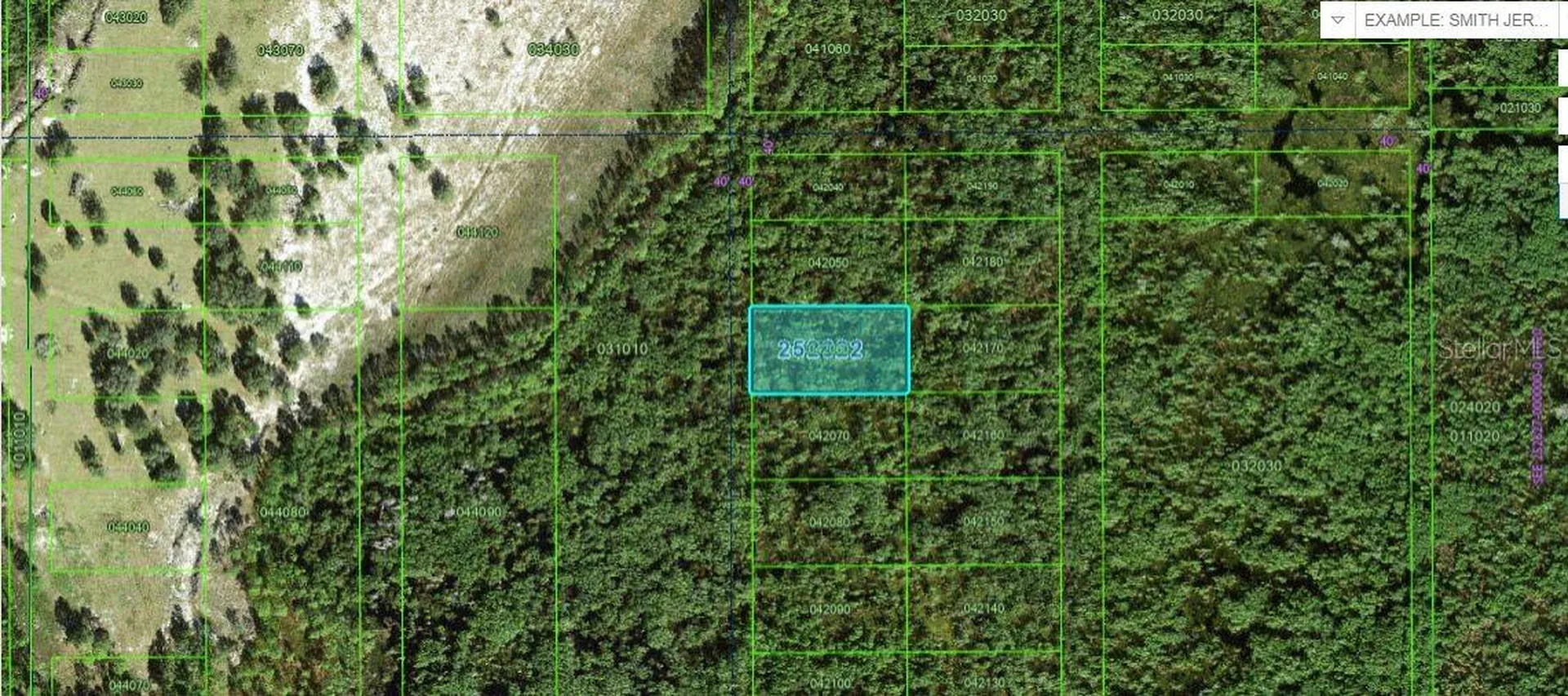 Commonwealth Avenue N Polk City FL 33868