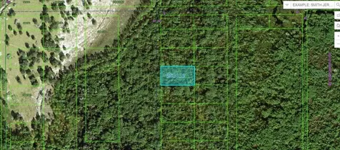 Commonwealth Avenue N Polk City FL 33868