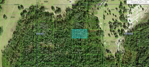 Commonwealth Avenue N Avenue N Polk City FL 33868