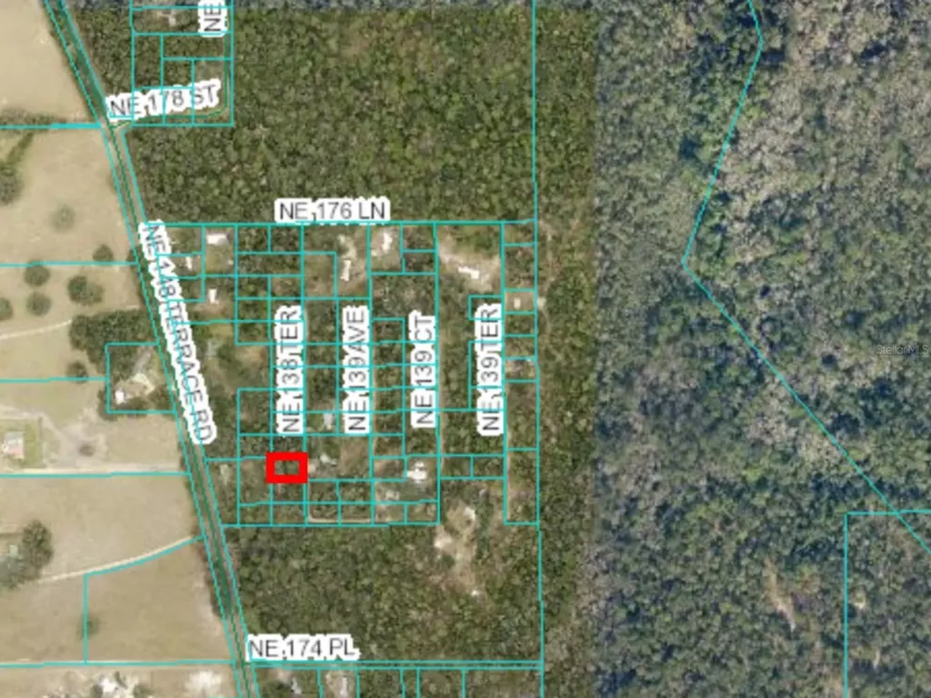 0 NE 138th Terrace Fort Mc Coy FL 32134