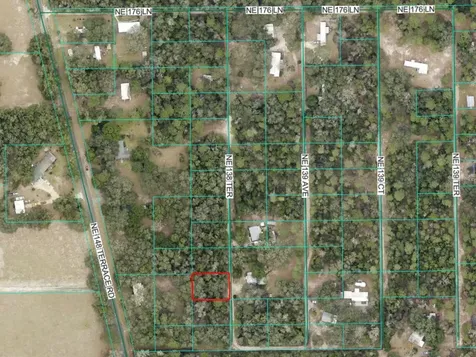 0 NE 138th Terrace Fort Mc Coy FL 32134