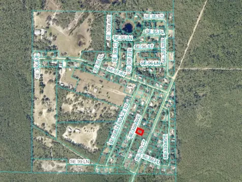0 SE 309 Avenue Altoona FL 32702
