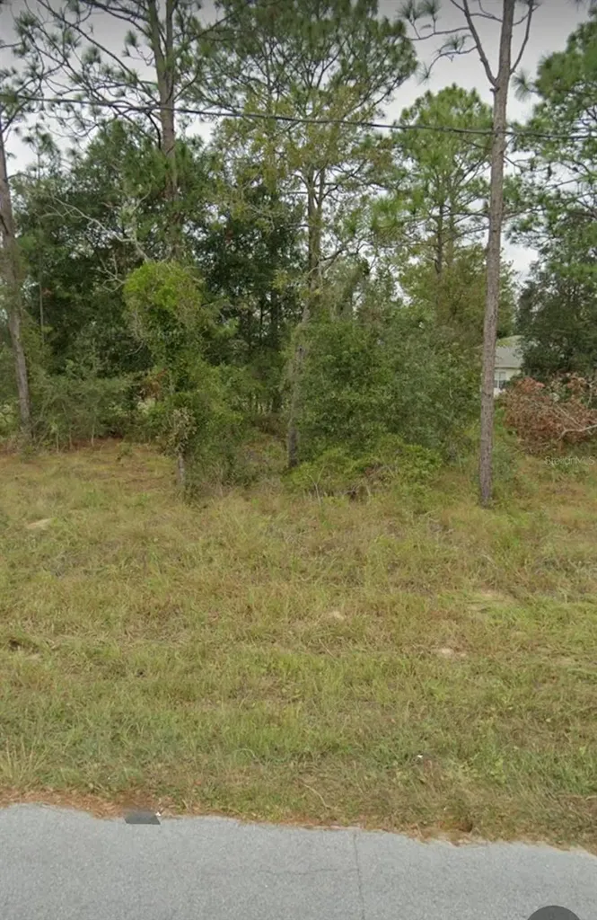 W Country Club Drive Williston FL 32696