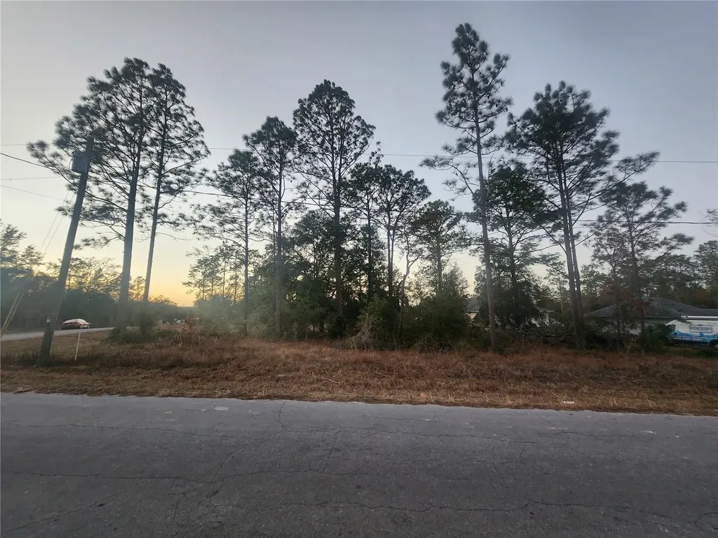 W Country Club Drive Williston FL 32696