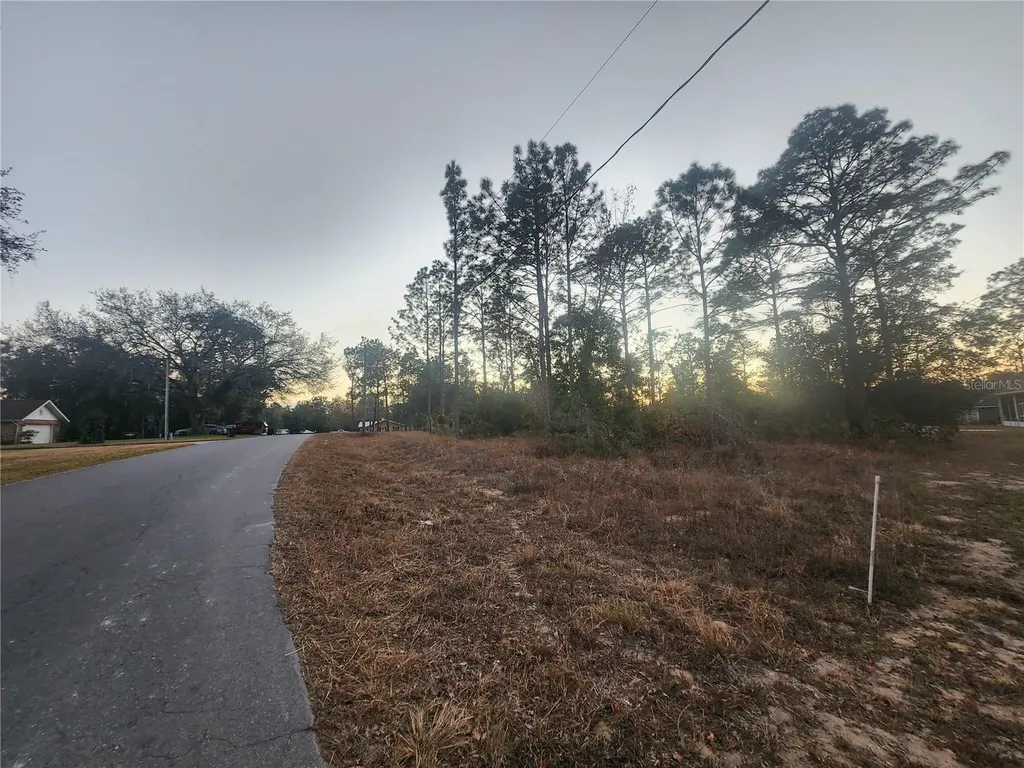 W Country Club Drive Williston FL 32696