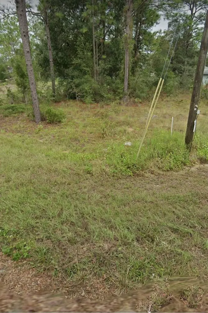W Country Club Drive Williston FL 32696