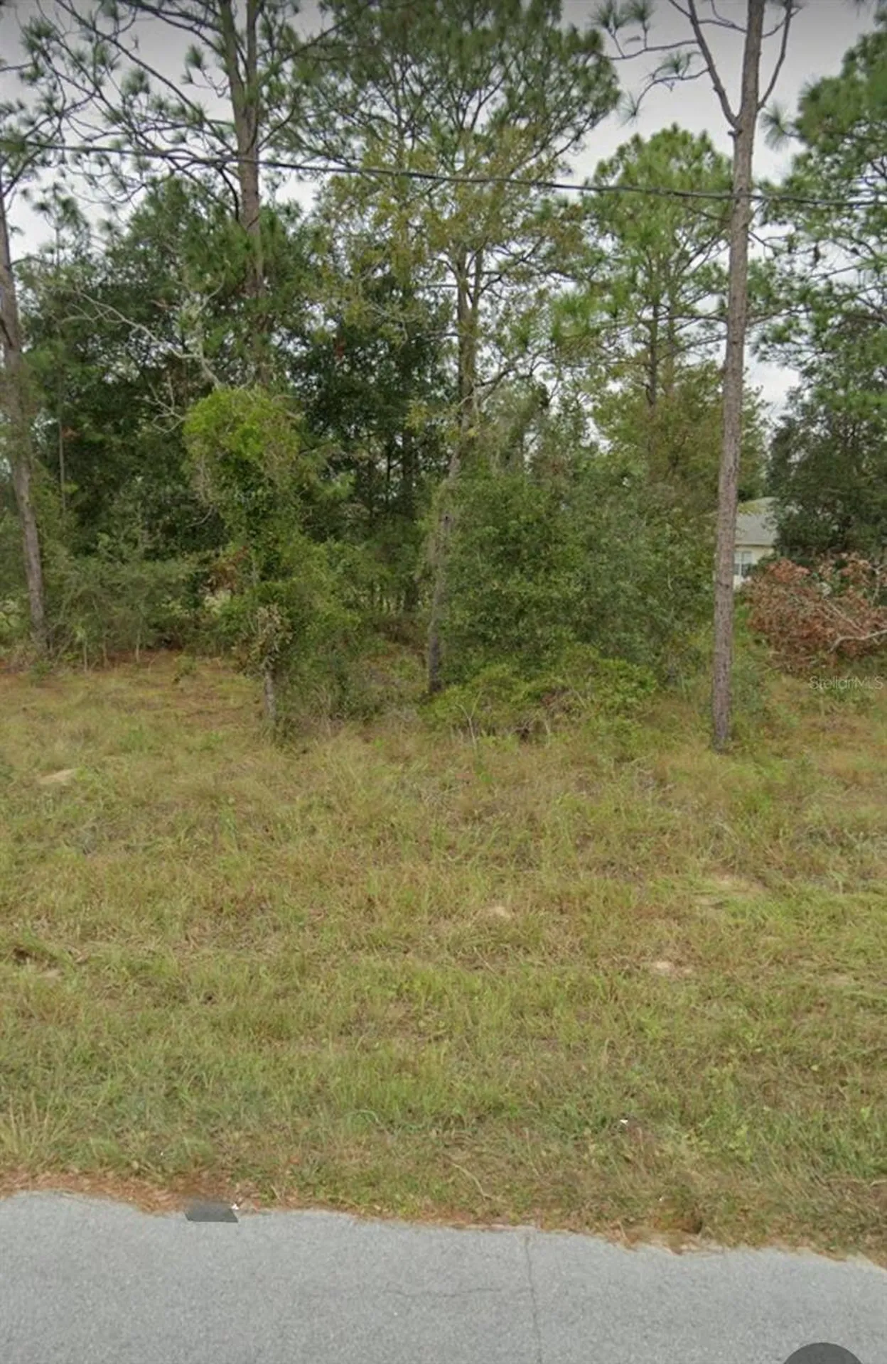 W Country Club Drive Williston FL 32696