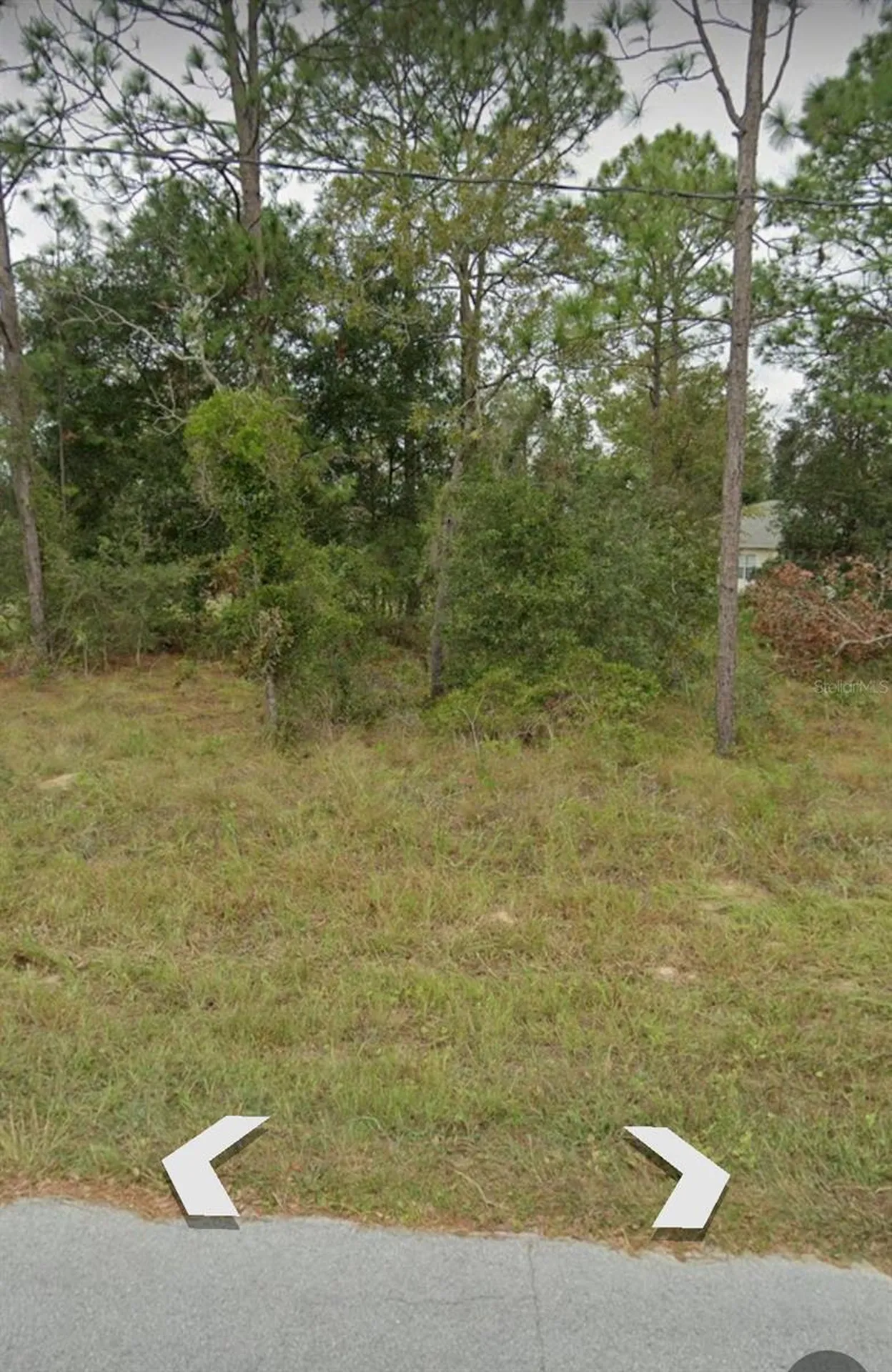 W Country Club Drive Williston FL 32696