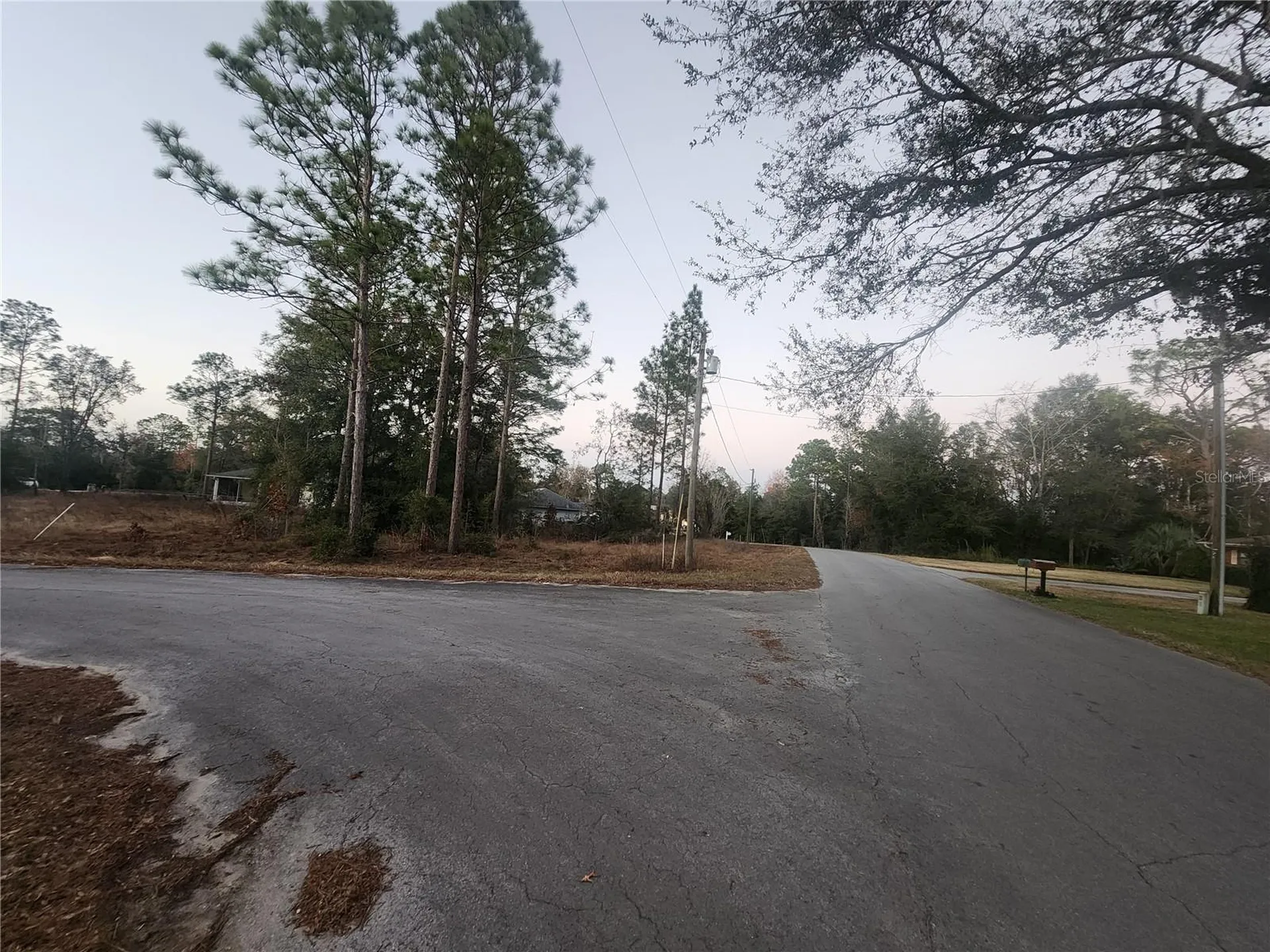 W Country Club Drive Williston FL 32696