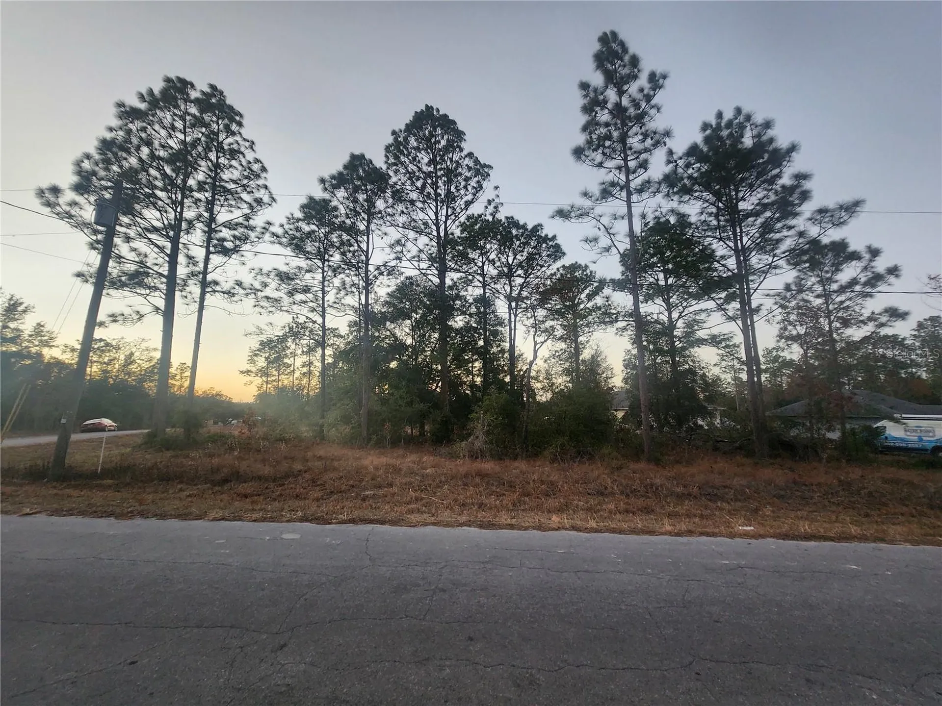 W Country Club Drive Williston FL 32696