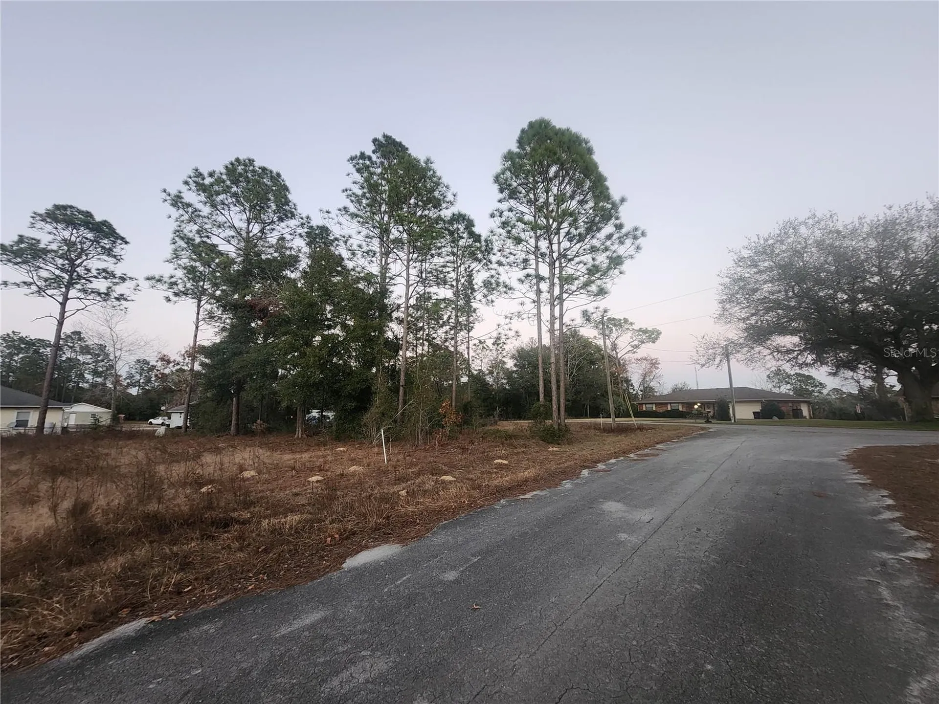 W Country Club Drive Williston FL 32696
