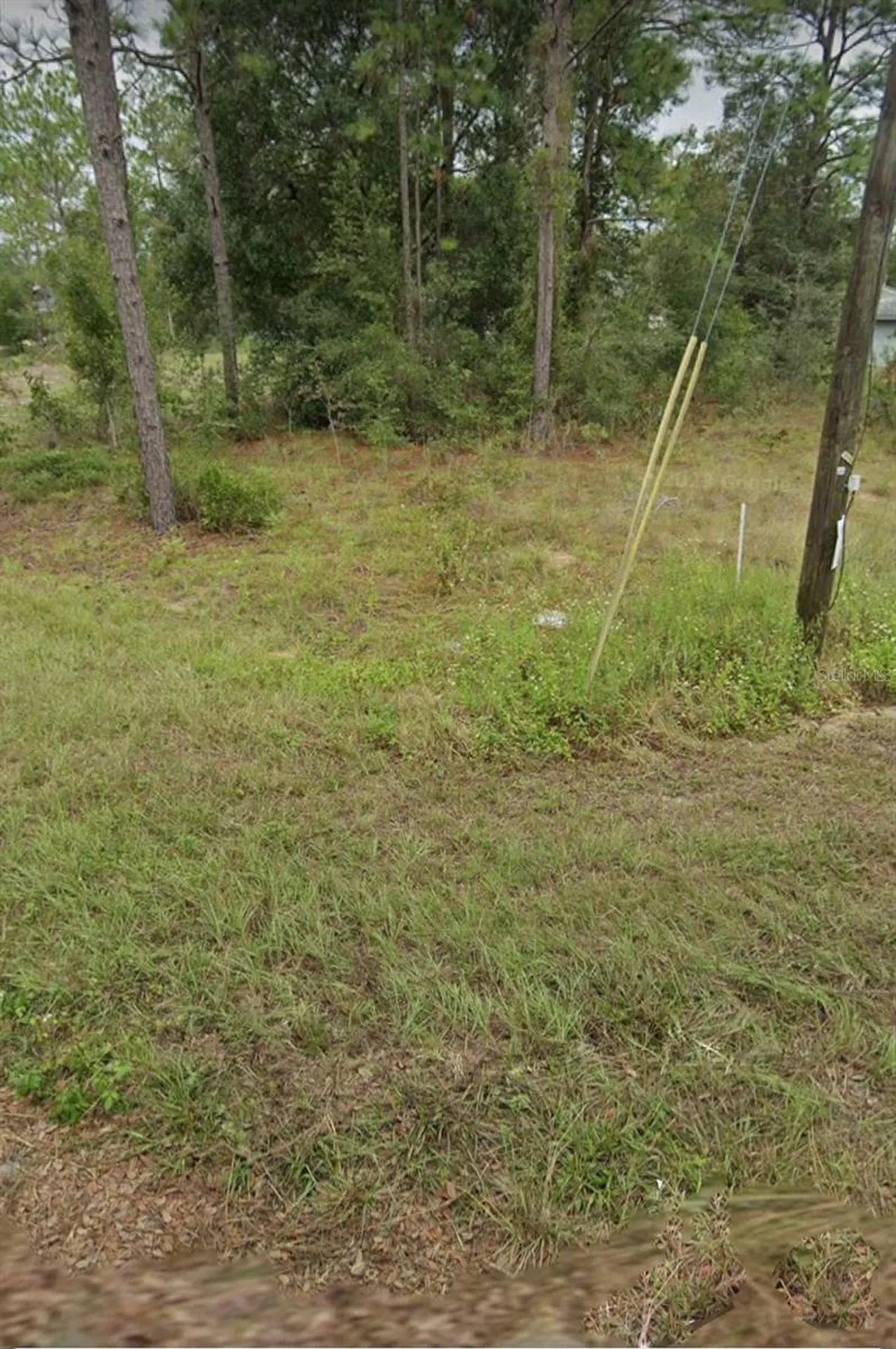 W Country Club Drive Williston FL 32696